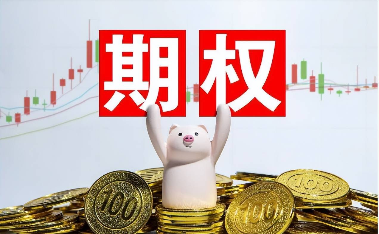 【期权科普】创业板ETF期权手续费佣金最低多少?