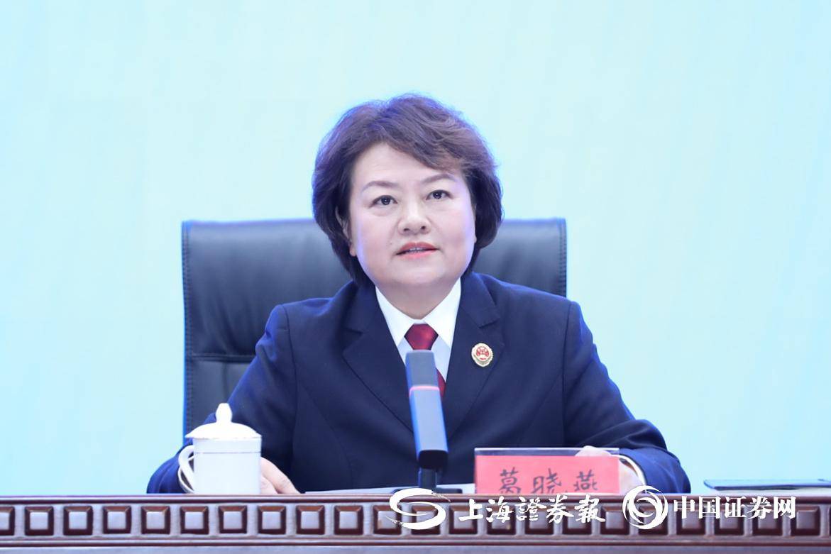 最高检副检察长葛晓燕：坚持依法从严打击证券期货违法犯罪