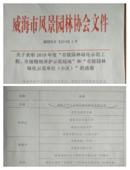 信息公开
