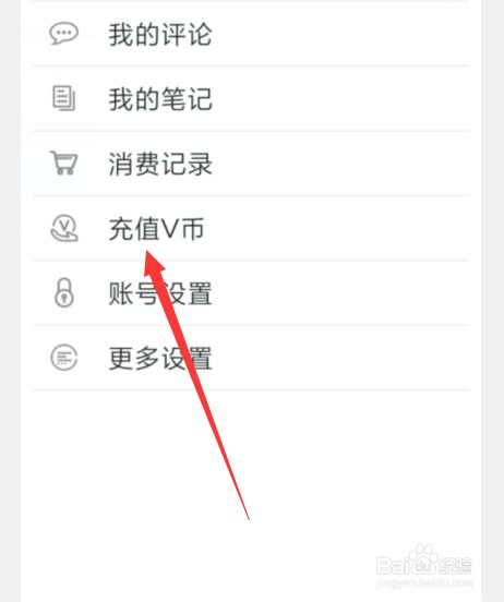 v币是什么(v币是什么游戏)
