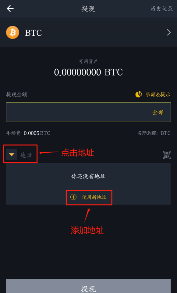 提币地址怎么填(提币地址什么意思)
