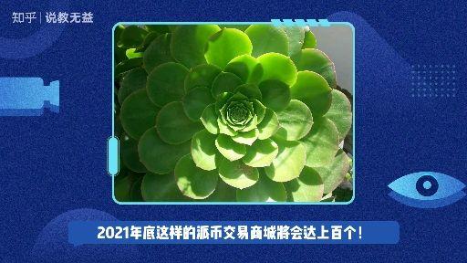 公益币有什么用(志愿汇公益币有什么用)