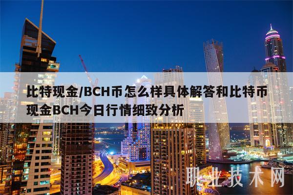 bch什么币(bch什么币种)