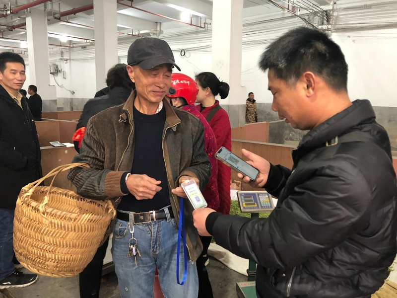 普洱币怎么交易(普洱币现在什么价格)