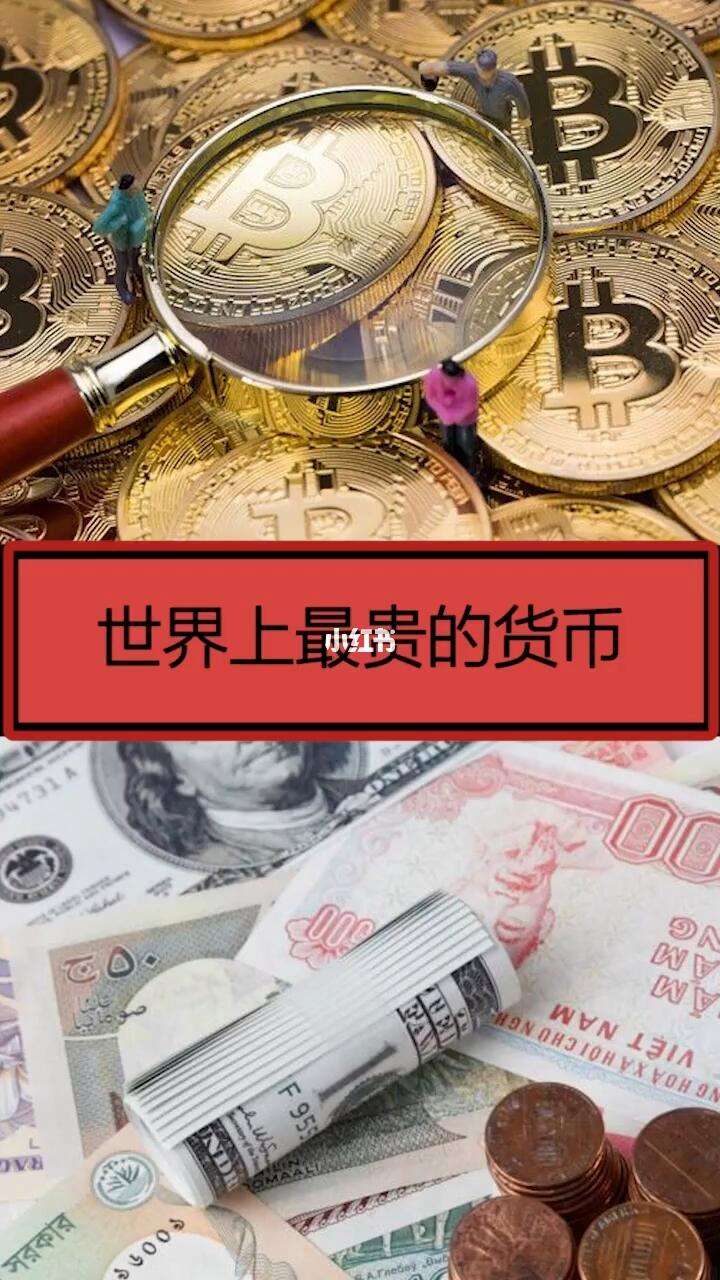 什么是国际货币(什么是国际货币体系)
