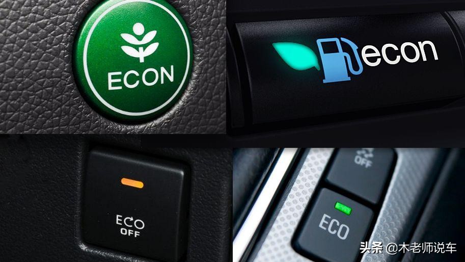 eco币是什么(eco币是什么东西)