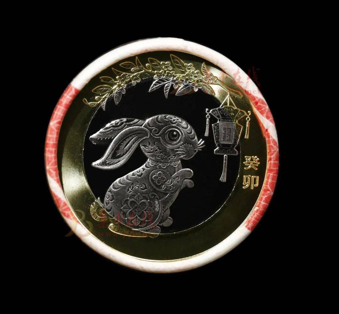 兔子币是什么东西(兔子币是什么东西做的)