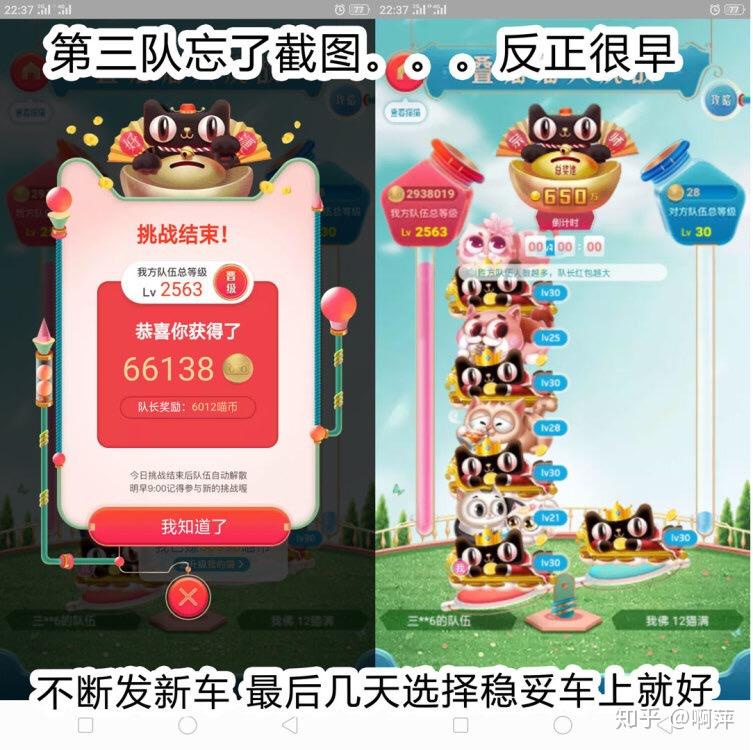 猫币是什么(猫币是什么回事)