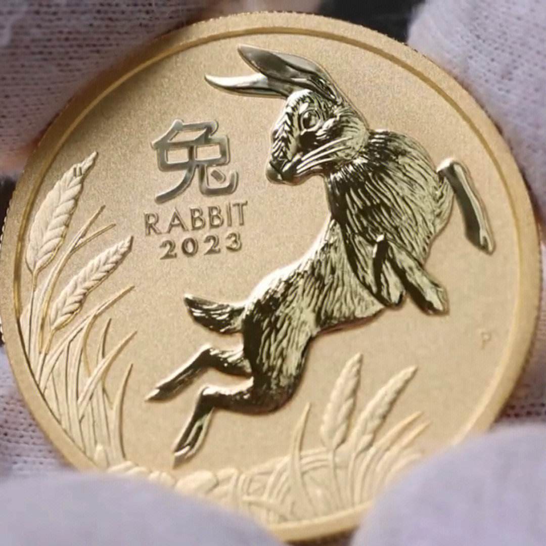 兔子币是什么(兔子币是什么币)