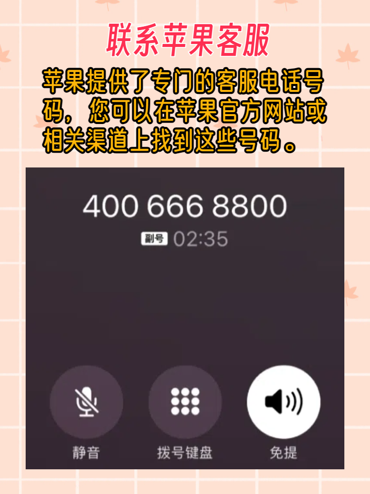 为什么软件更新不了(为什么软件更新不了一直在加载)