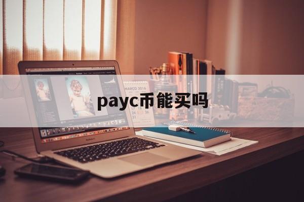 payc币能买吗(payc币一个多少钱)